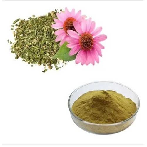 इचिनेशिया एक्सट्रैक्ट (4%) ग्रेड: A