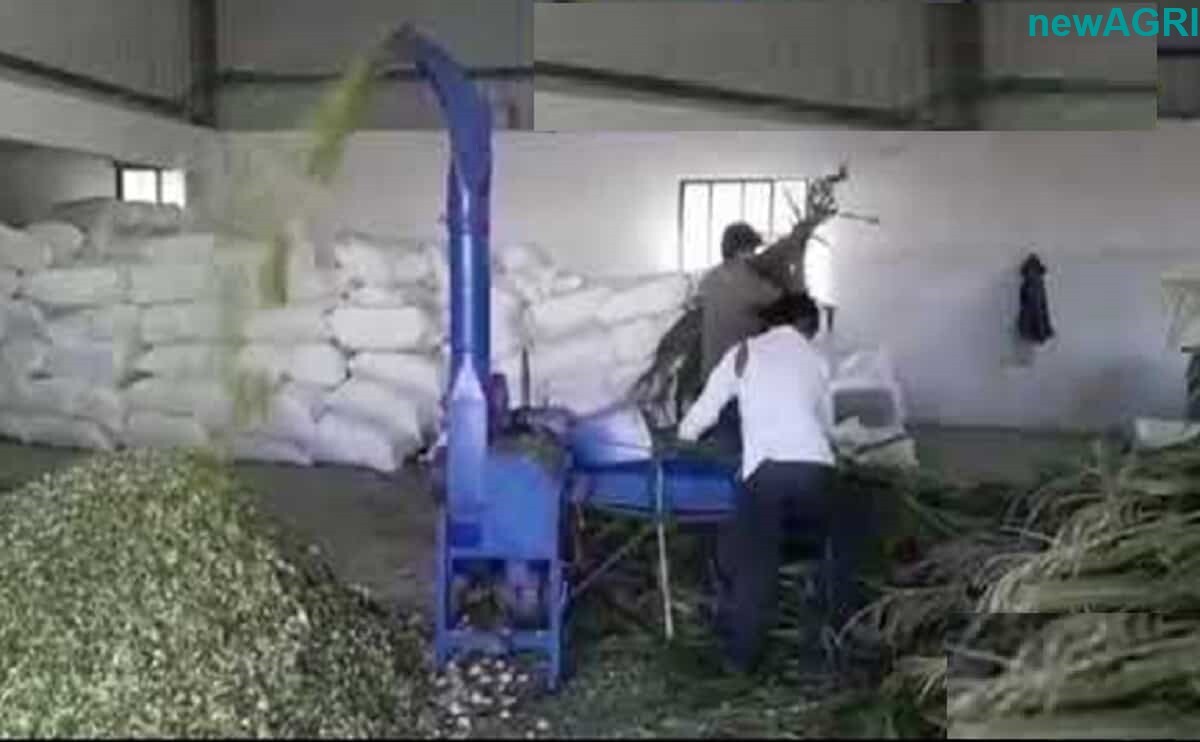 Chaff Cutter 5hp