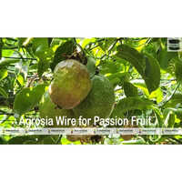 Pet Agriculture Wire - PET Material, 3.5mm Diameter, Black Color | Durable Support for Passion Fruit Farming, 1-Year Warranty