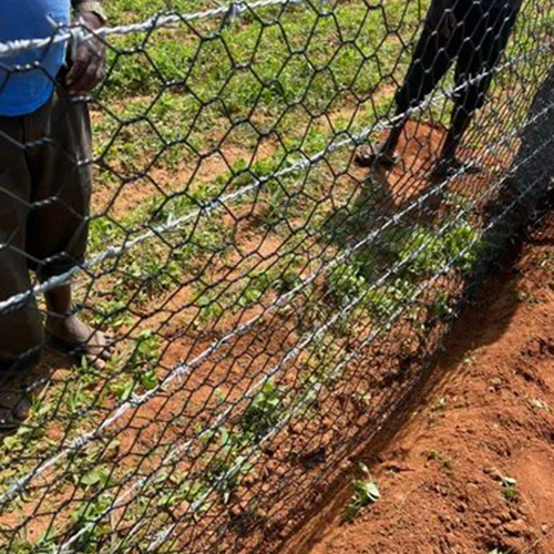 ब्लैक गार्डन फेंसिंग नेट