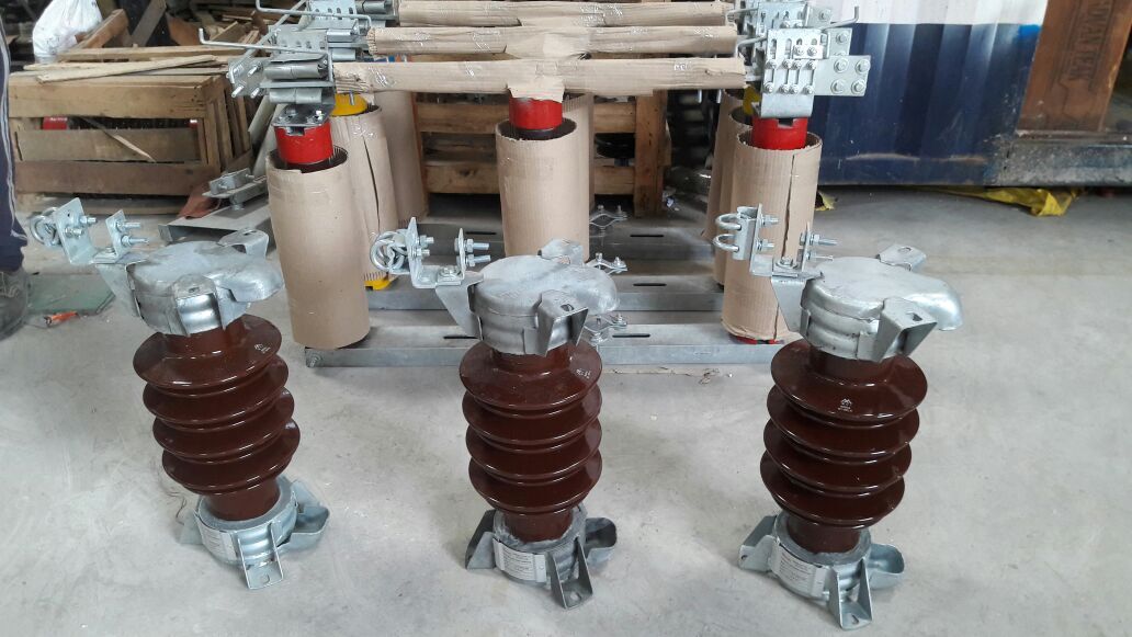 Stainless Steel Lightning Arrestor