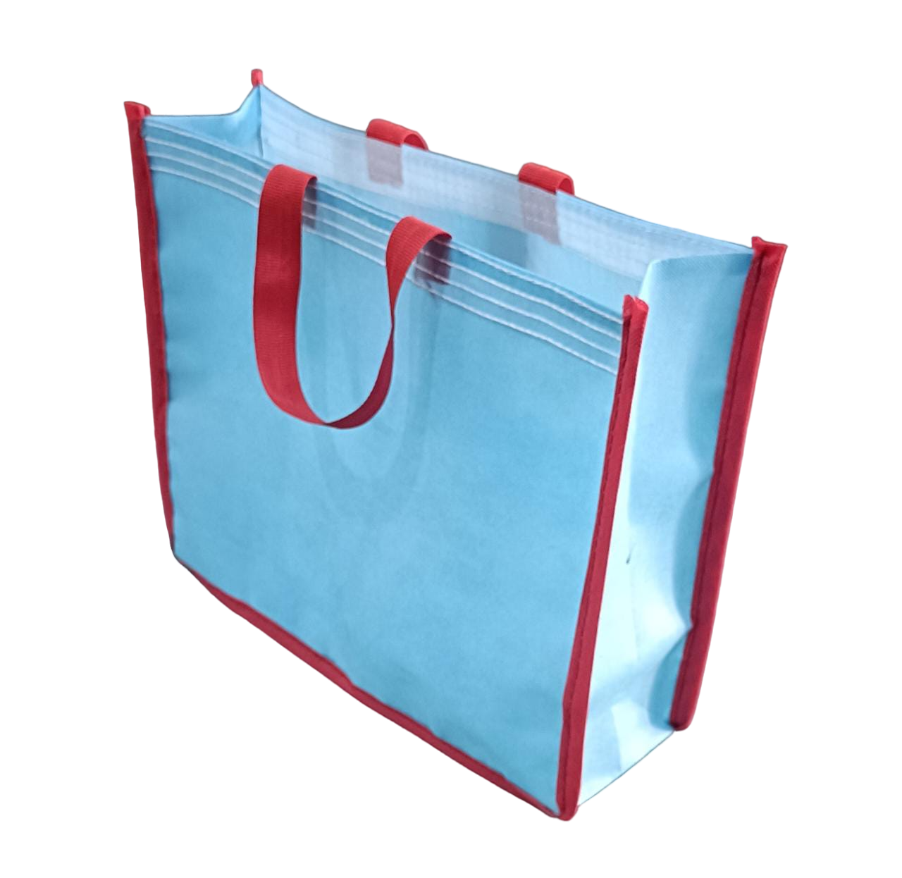 Blue Plain Carry Handbag - Sky Blue, 16x14x4 Inches | Customized, Multipurpose Design For Easy Carrying As Shopping Or Hand Bag