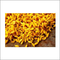 रेशमी कोकून प्रकाश तितली के प्यूपा