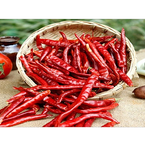 सूखी मिर्च - सिसीली एक्सपोर्ट