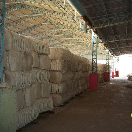 कच्चे कपास के बल्ले