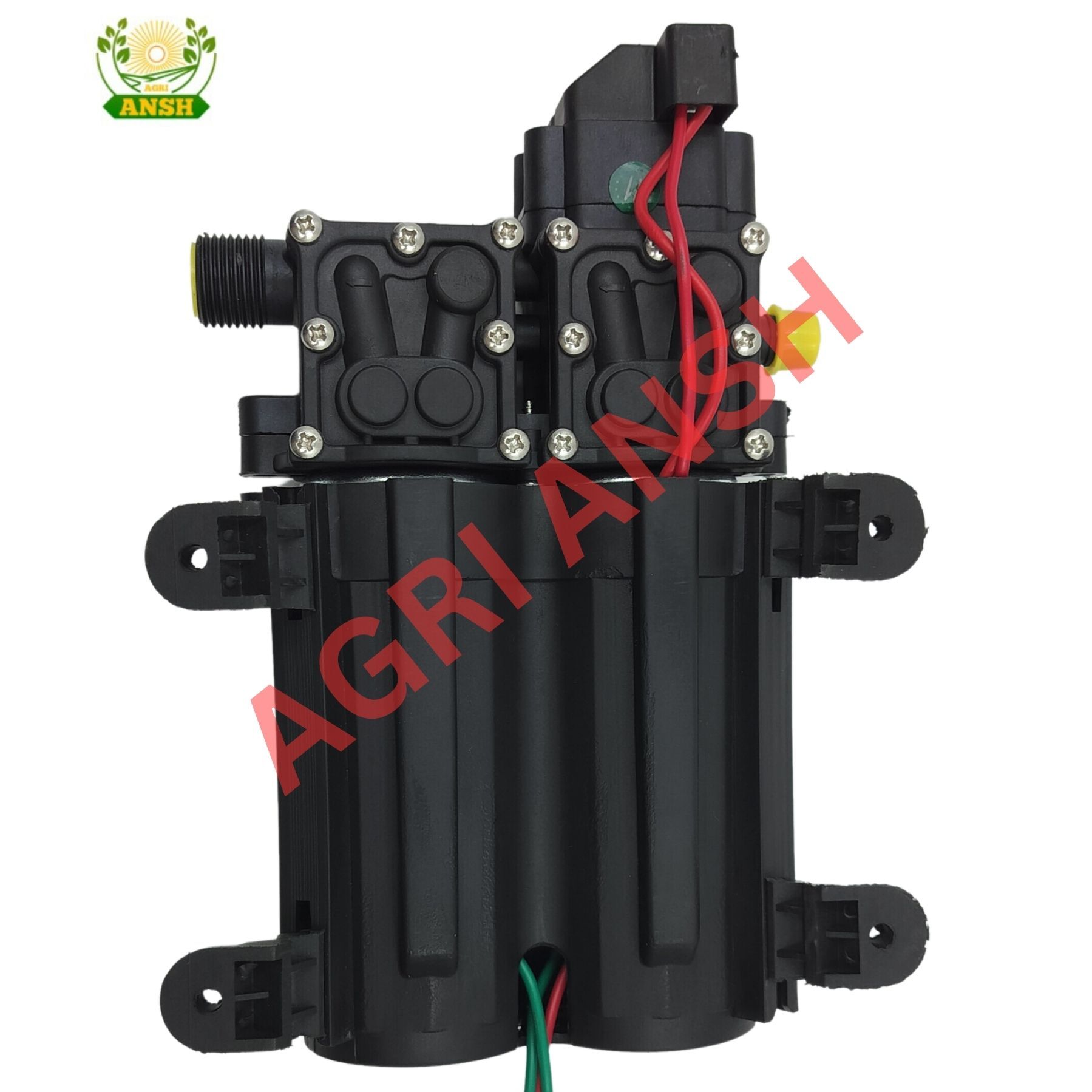Battery Sprayer Double Motor