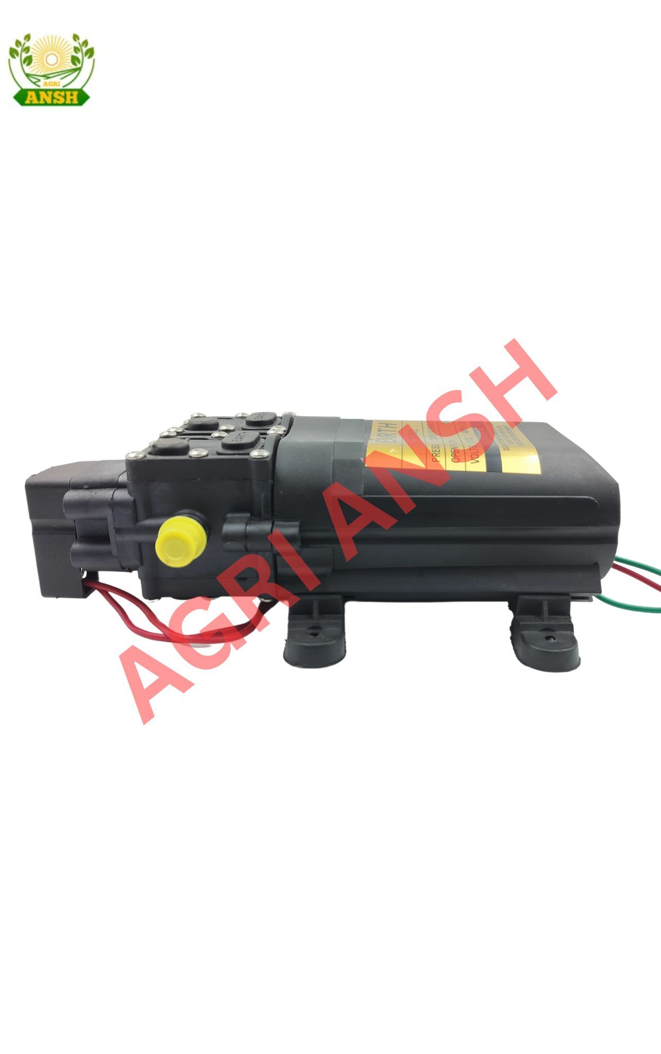 Battery Sprayer Double Motor