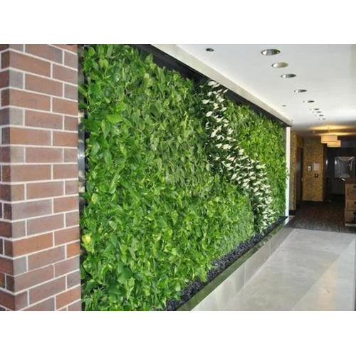 Artificial Vertical Green Garden - Use: Home