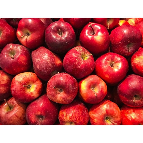 Red Fresh Apple