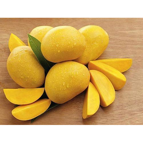 Fresh Mango - Organic Whole Round Yellow Fruit | Sweet Taste, Perfectly Ripe Delight