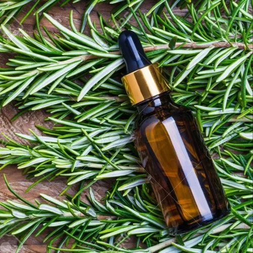 Rose Mary Essential Oil - 25 Kg Aluminium Bottle | 99.9% Purity, Floral Aroma, 24 Months Shelf Life, Ideal for Aromatherapy
