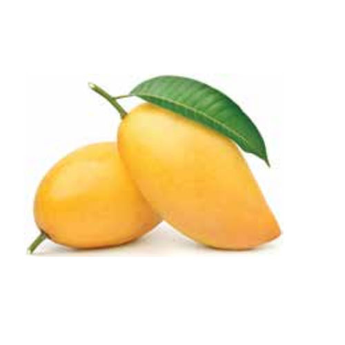 Yellow Alphanso Mango