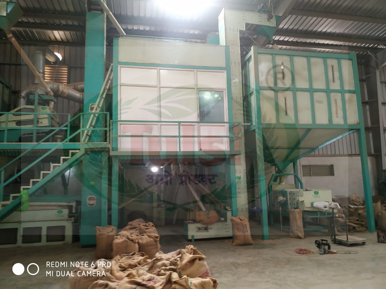 Peanut Processing Plant - Automatic Grade: Automatic