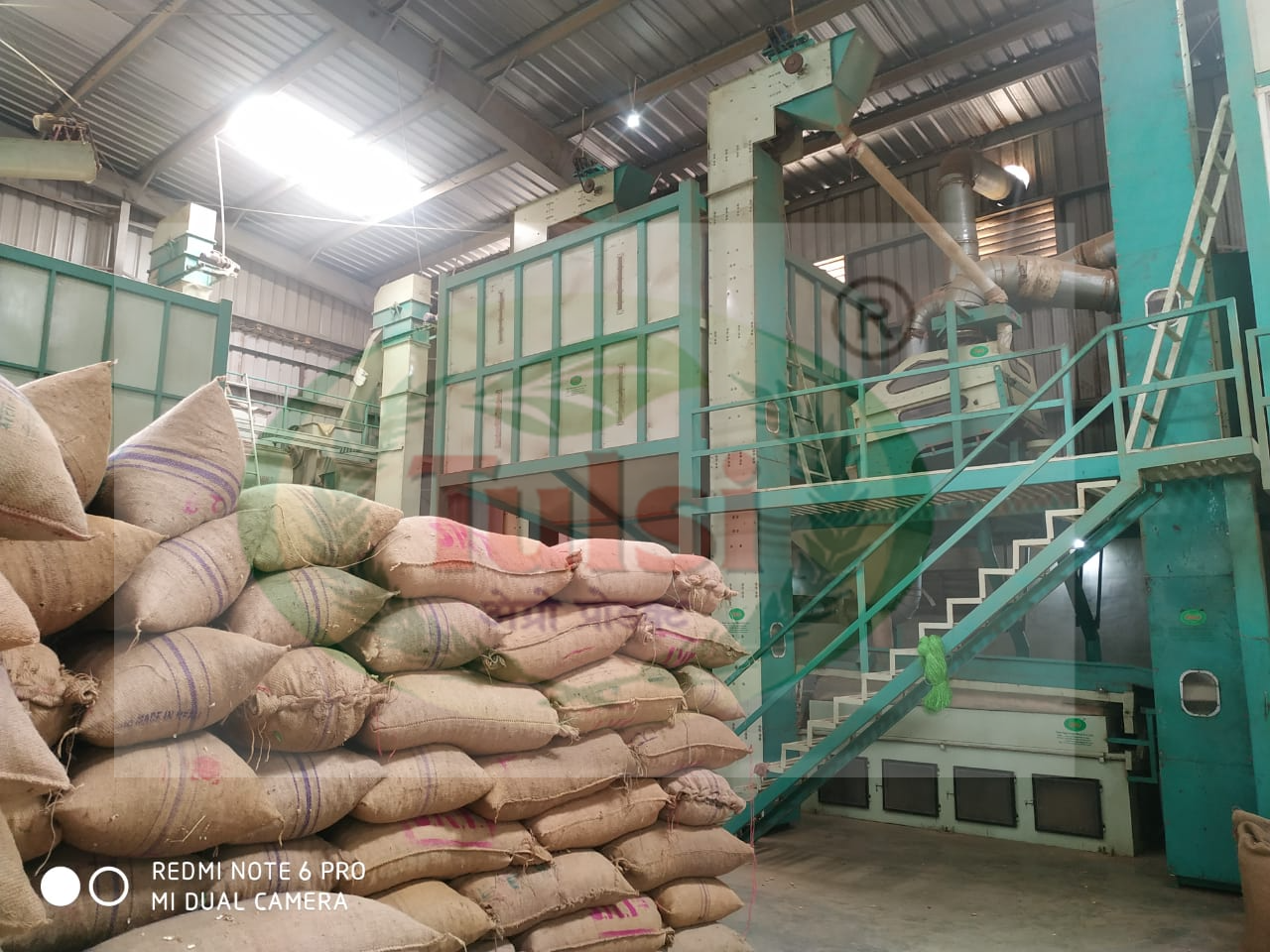 Peanut Processing Plant - Automatic Grade: Automatic