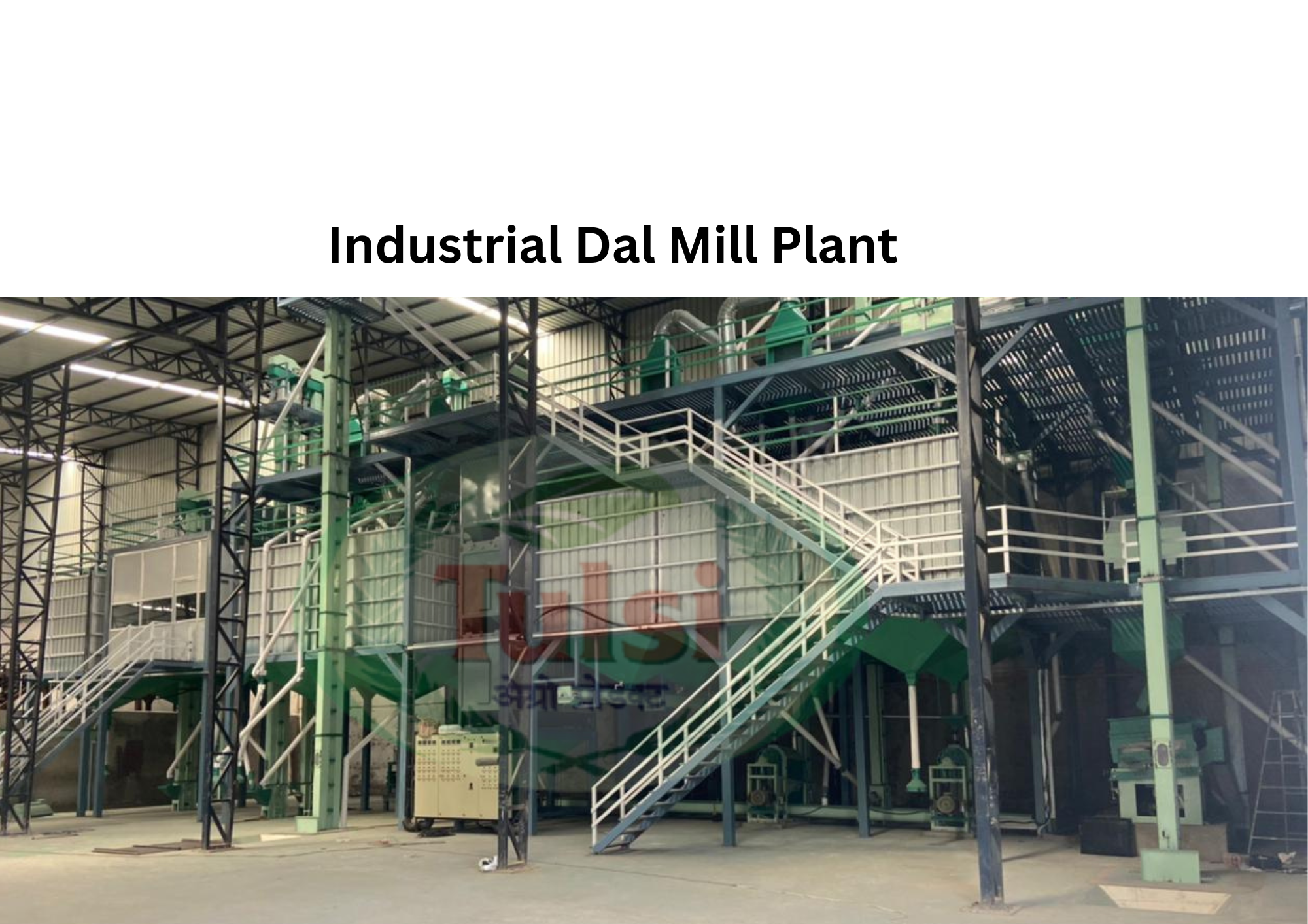 Industrial Dal Mill Plant - Capacity: 1 Tone T/hr