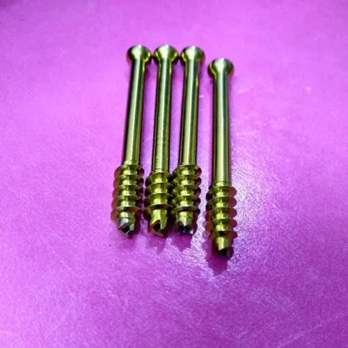 Tit. C.c. Bone Screw - Finish: Polished