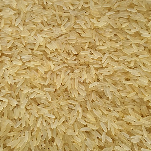 Organic Pr11 Golden Rice