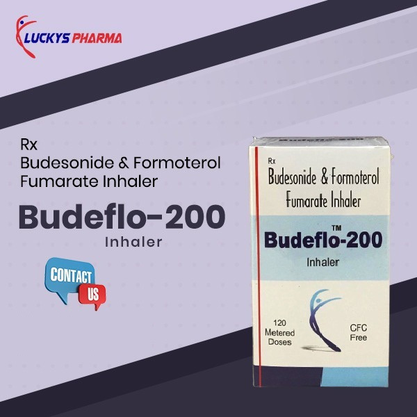 Budesonide Formoterol Inhaler General Medicines