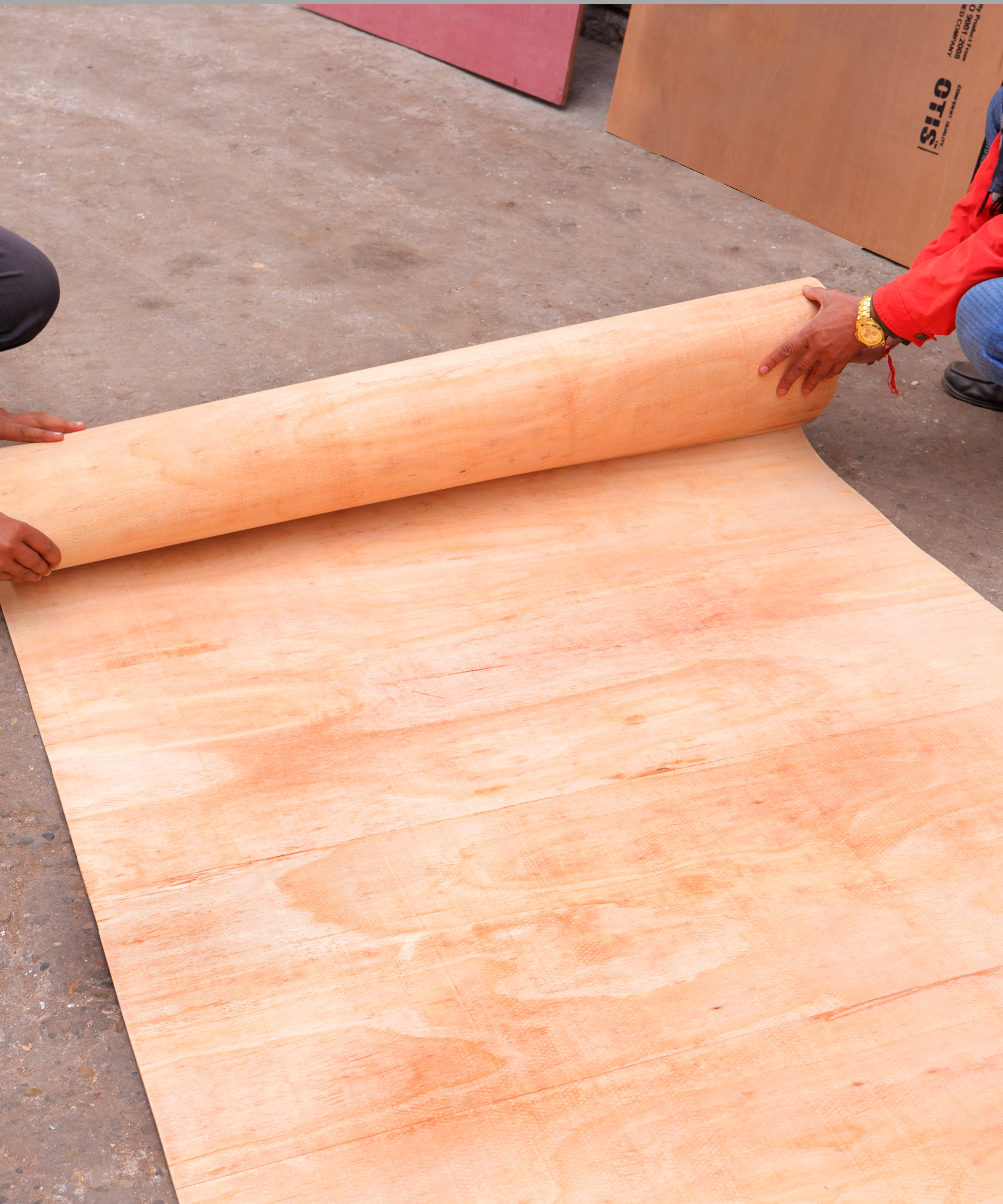Flexible Curved Plywood