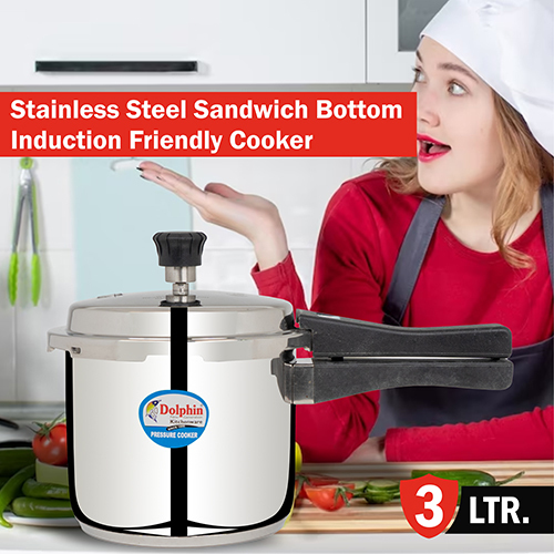 Induction Free Cooker - 3 Litre Polished Stainless Steel, Customized Size, Commercial Usage