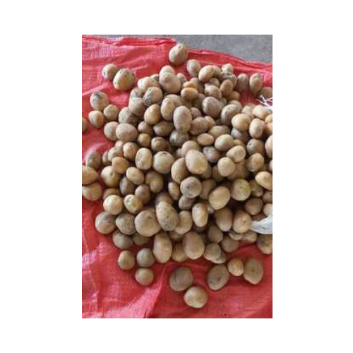गोल ताजा आलू