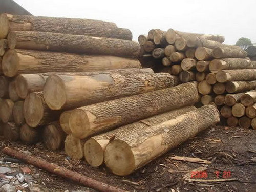 लकड़ी कीLogs