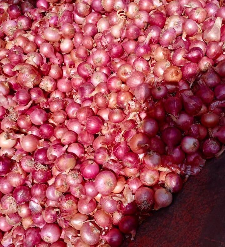 Red Onion - 7-day Shelf Life | Rich In Flavor And Versatile For Culinary Uses