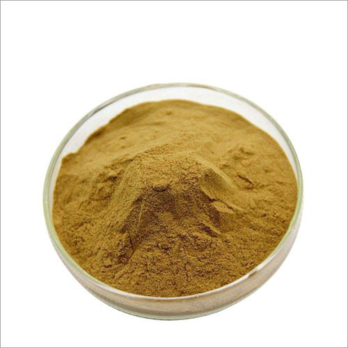 Mashroom Dry Extract - Color: Brown