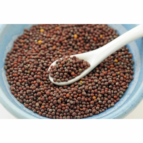 खेती के लिए ब्राउन मस्टर्ड सीड्स