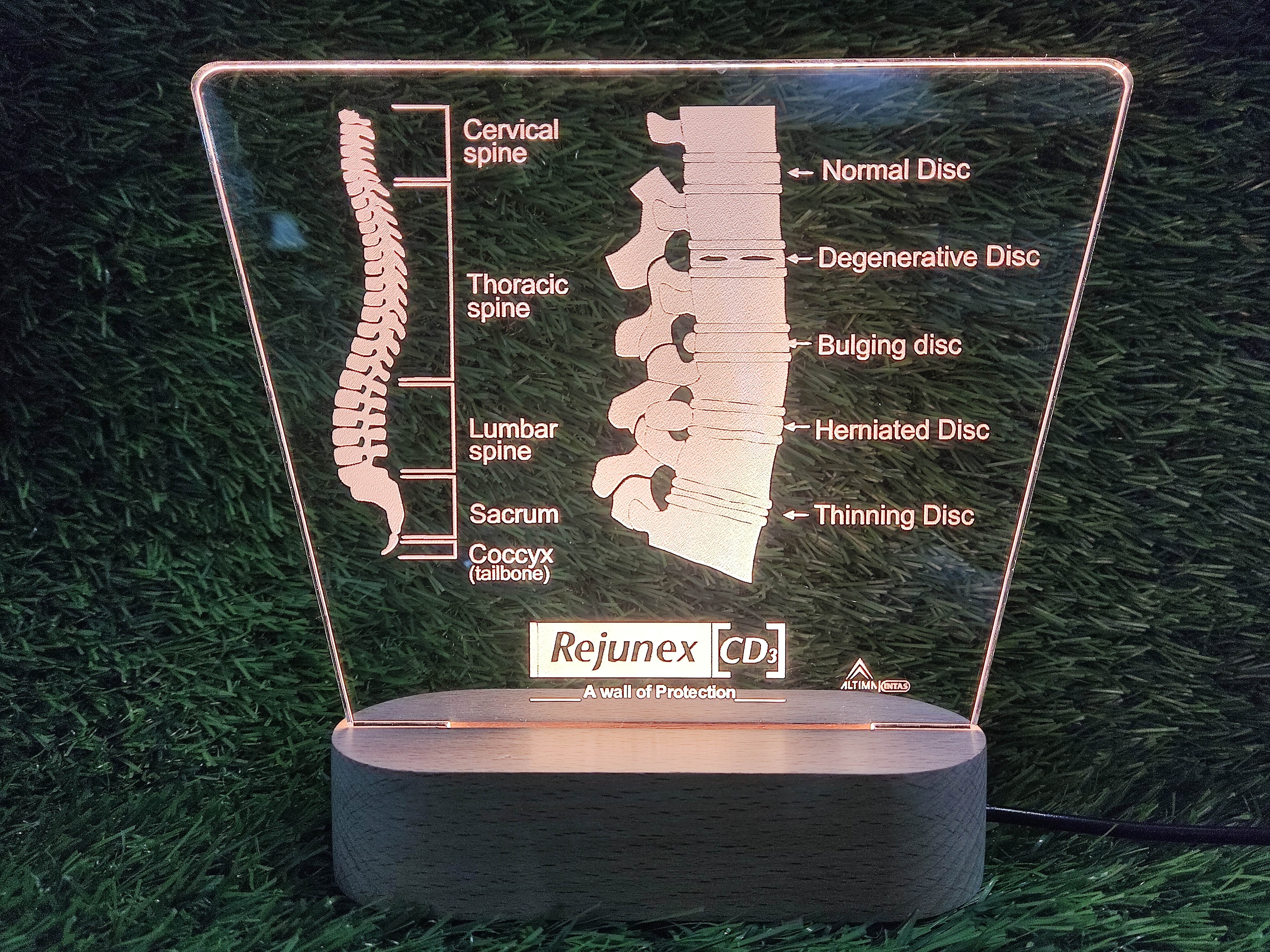 Corporate Gift - Crystal Material, Transparent Color | Custom Branding Options, Energy-efficiency Savings, Long-term Durability, Corporate Gifting Solutions