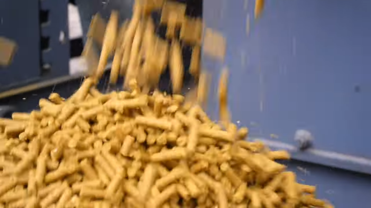 Cattel,feed Manufacturing,plant,urgent,sell,in,jind Haryana