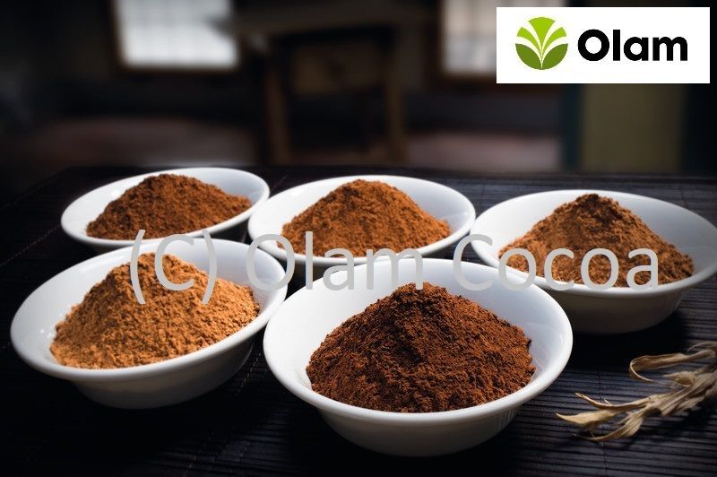 Keep Cool Dry Olam Cocoa Powder Storage: Room Temperature