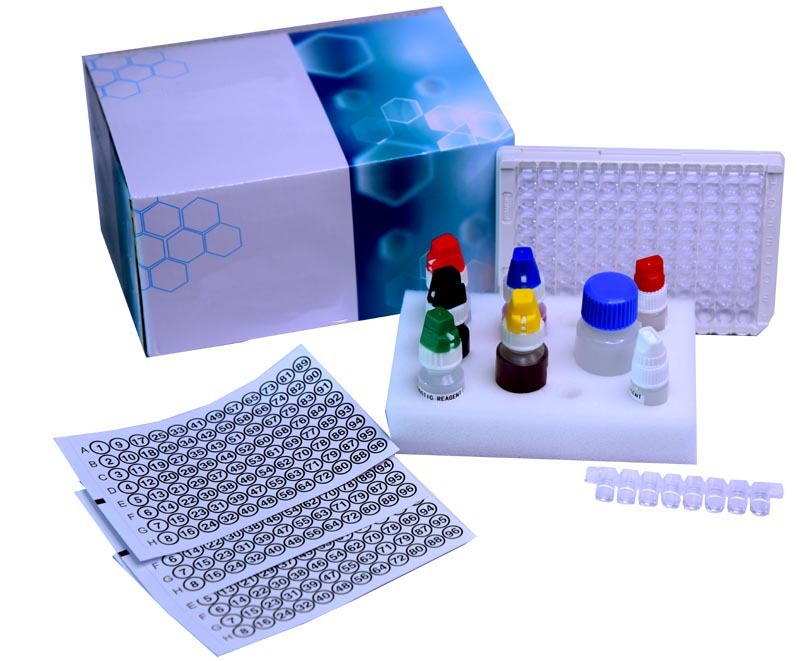 Ssb (La) Elisa Kit - Color: Multi Color