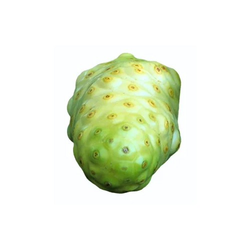 Noni Fruit Extract Powder - Color: Brown