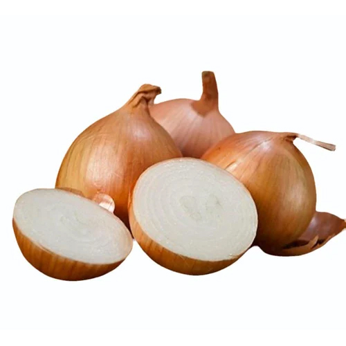 White Onion Extract