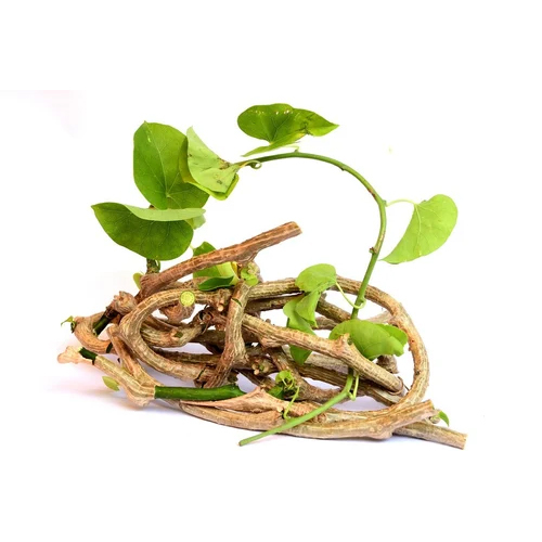 Brown Giloy Dry Extract