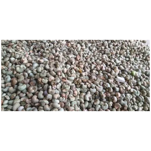 कच्चे काजू - भागीरथी केशव प्रोसेसिंग यूनिट