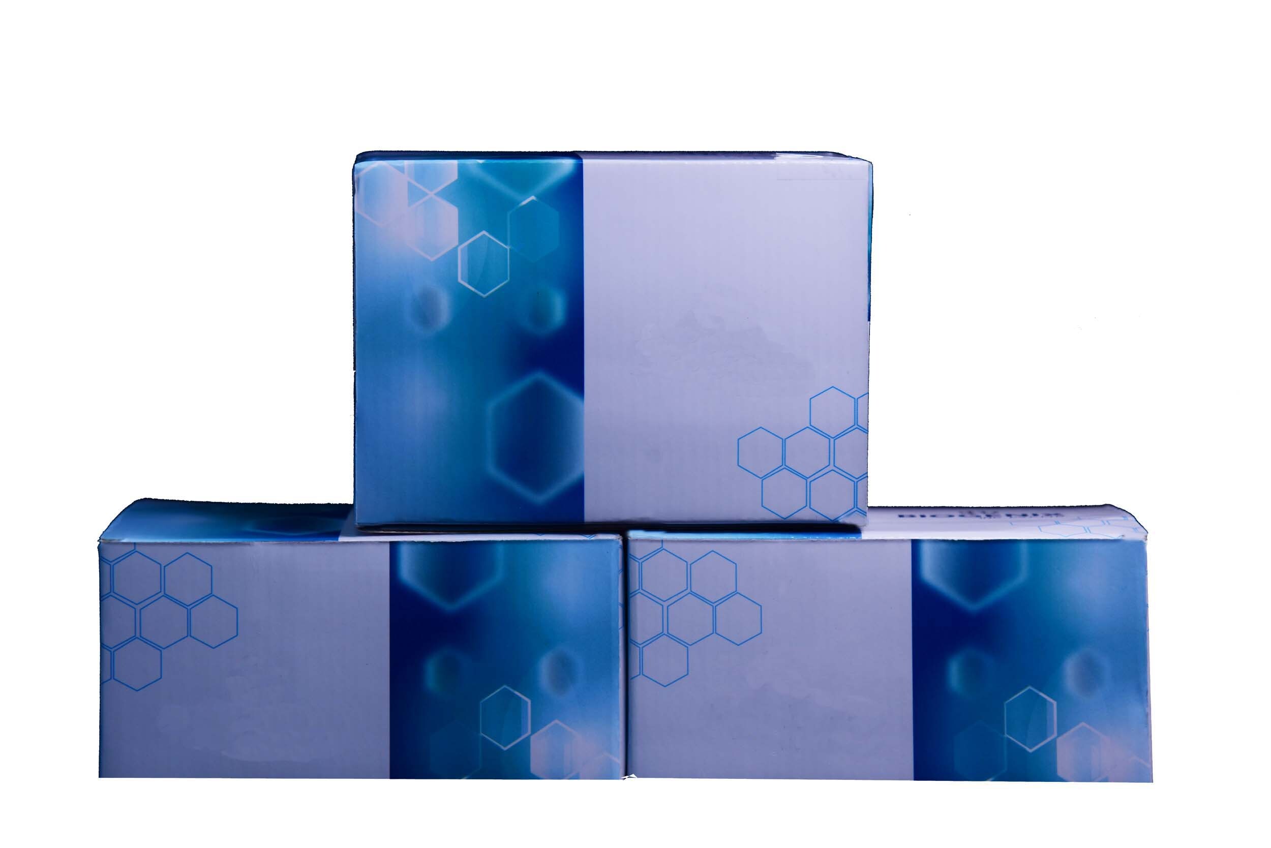Glutamate Elisa Kit - Color: Multi Color
