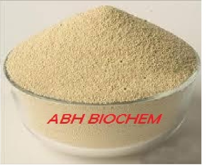 High Quality Industrial Textile Enzymes