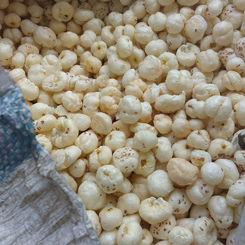 White Plain Makhana - Raw Edible Dried Makhana | White Color, Common Cultivation Type, Perfect For Snacking Or Cooking
