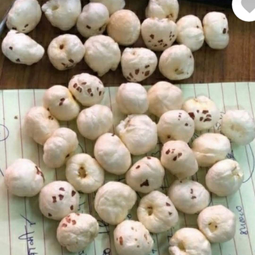 White Plain Makhana - Raw Edible Dried Makhana | White Color, Common Cultivation Type, Perfect For Snacking Or Cooking