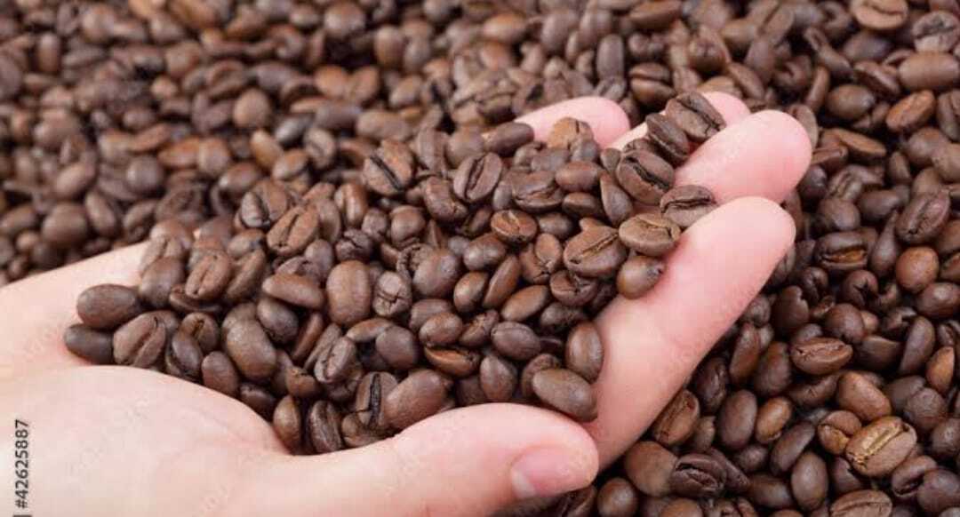 Brown Coffee Beans - Varied Size, Medium Roast, 6-12% Moisture Content | Rich Aroma, Dry Processed, Unique Flavor, Smooth Taste