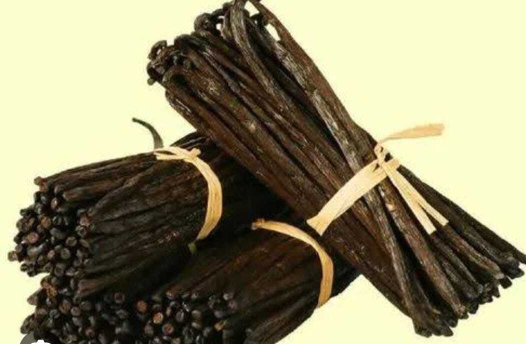 Vanilla Pods Madagascar