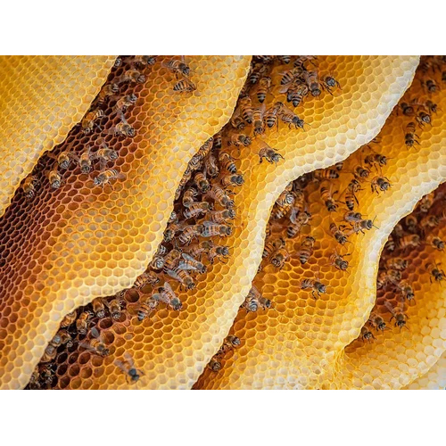 Natural Honey Comb - Additives: No