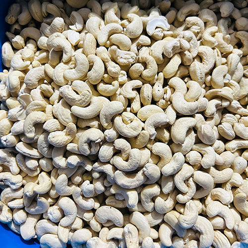Whole Cashew Nut - First Class Grade, Raw Style | Fresh Processing, Common Cultivation, Zero Moisture