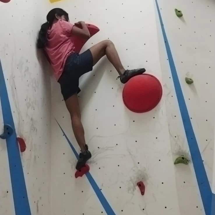 Free Size Climbing Hold