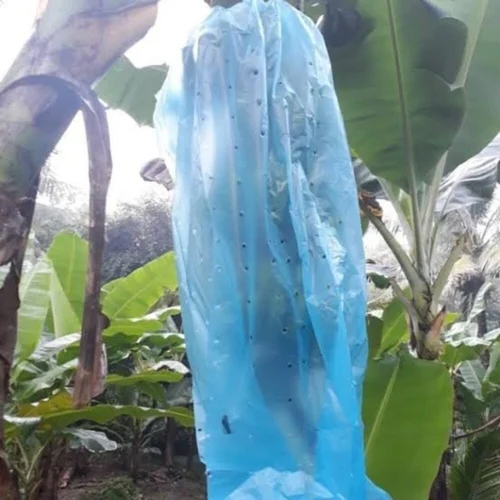 Blue Banana Bunch Cover - PP Material,  Strength and Durability | Vibrant Blue Color, Ideal for Banana Protection and Freshness Preservation