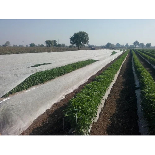 PP White Crop Cover - PP Material | Prevents Soil Erosion, Regulates Moisture, Attracts Pollinators, Assists Plant Growth