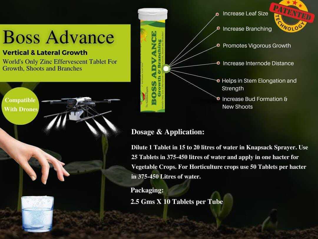 Growth Branching Grade: Agriculture