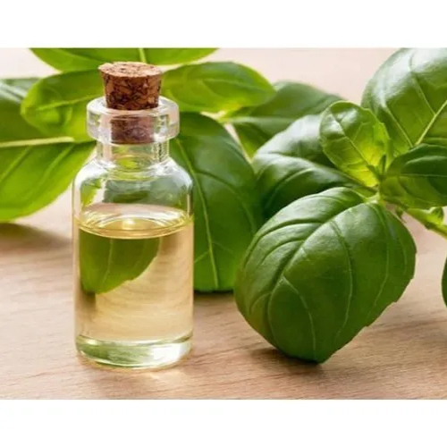 Basil Oil - 100% Pure Cold Pressed, 99% Purity, Natural Antioxidant & Anti-inflammatory Benefits, All Age Group Usage
